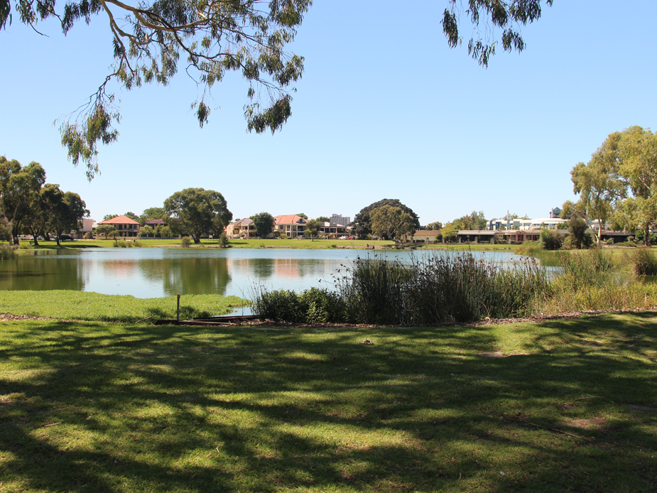 Lake next to Zone 11