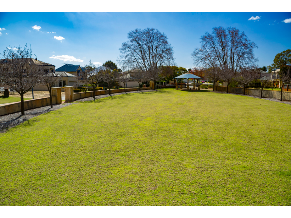 Grass area