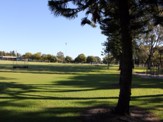 	Tree line