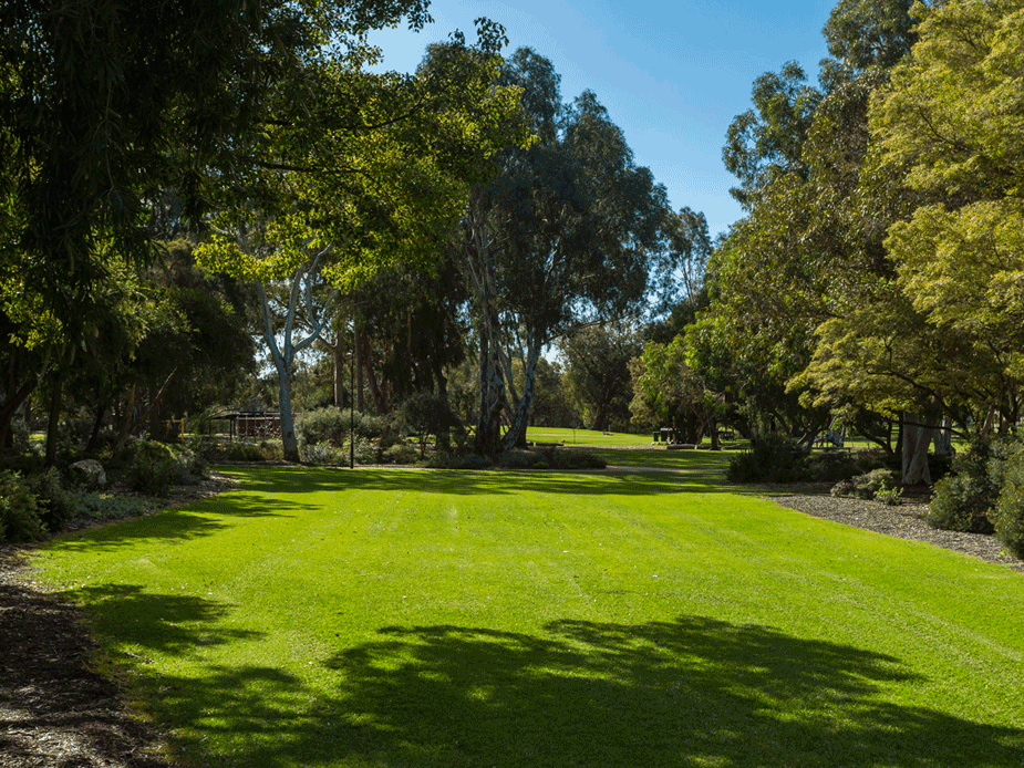 Neil McDougall Park