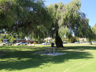 Olives Reserve