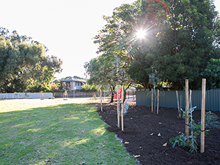 Hope Avenue Reserve