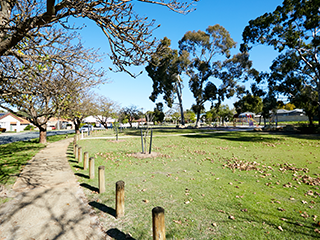 Isabella Craigie Reserve