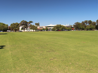 Comer Reserve open space