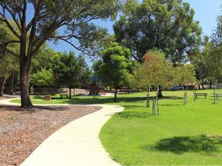 David Vincent Reserve