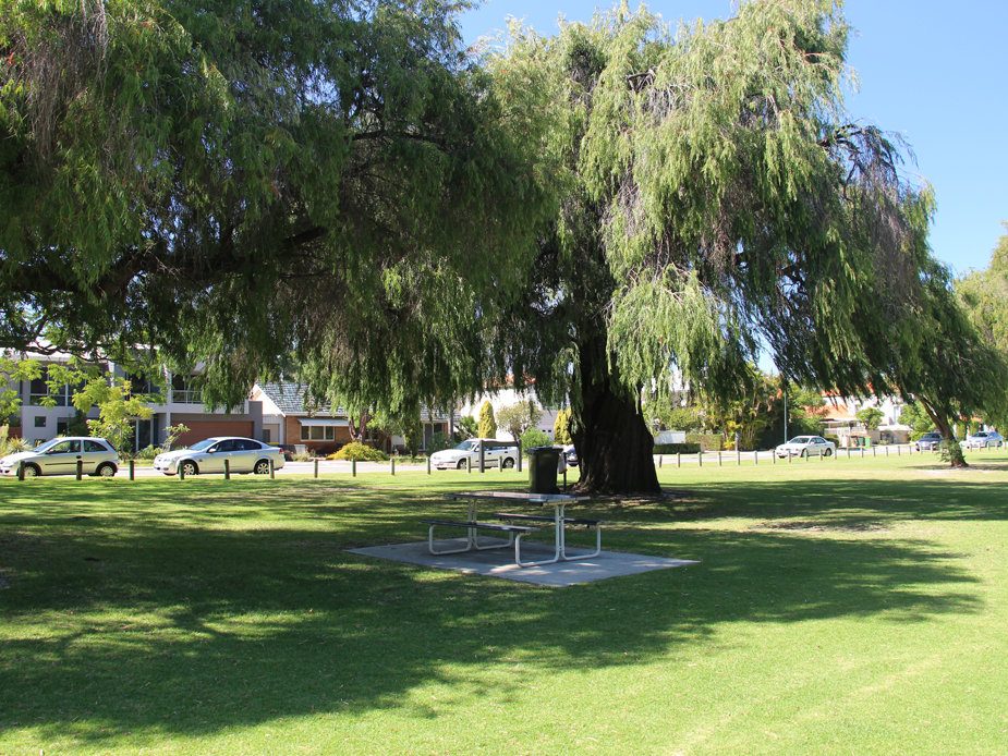 Olives Reserve