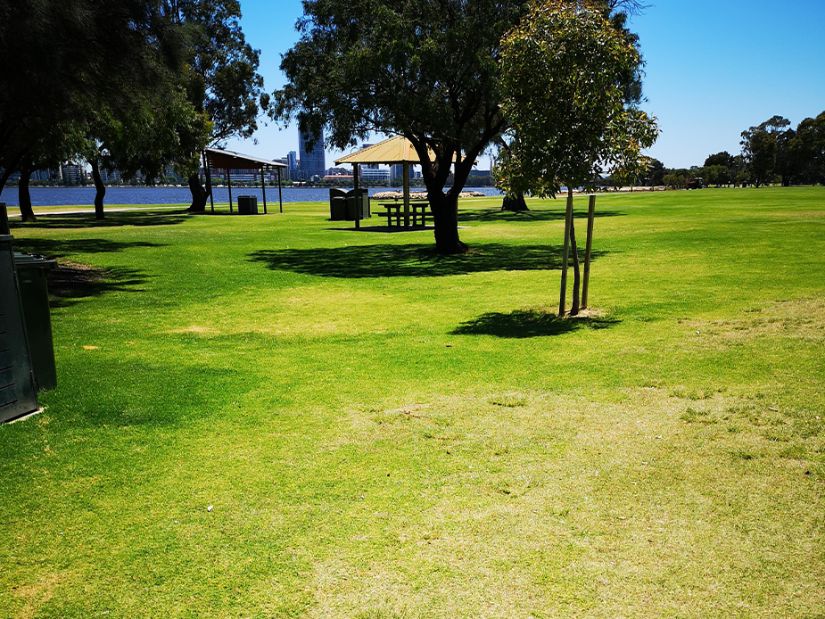 Scented Garden Playground South Perth Fasci Garden