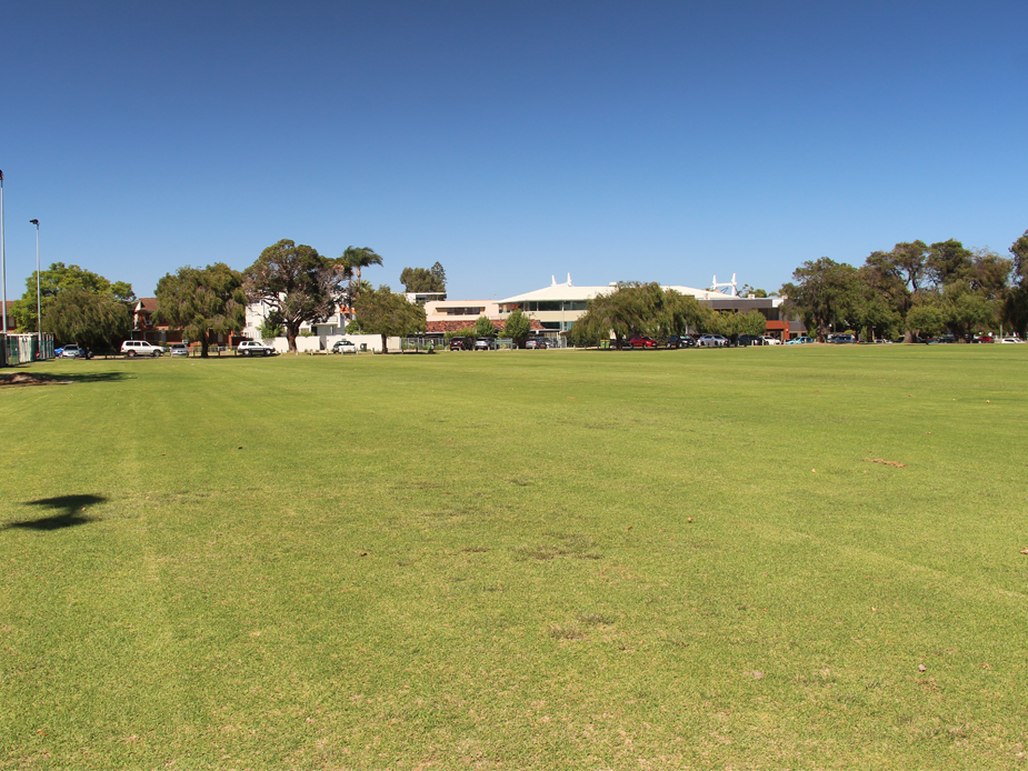 Comer Reserve open space