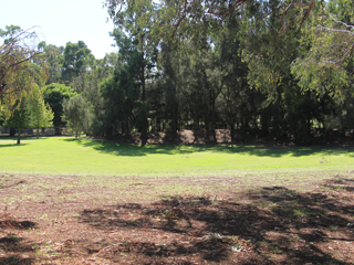 Amphitheatre