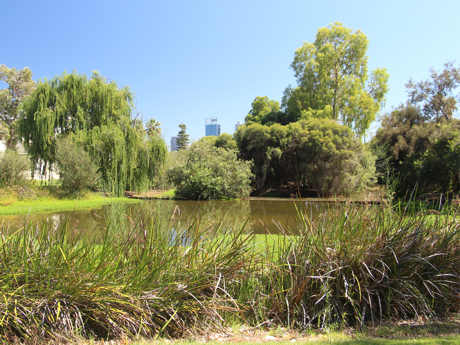 Clydesdale Reserve lake