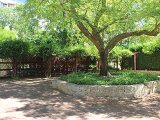 Zone 5 Scented Gardens shaded seating