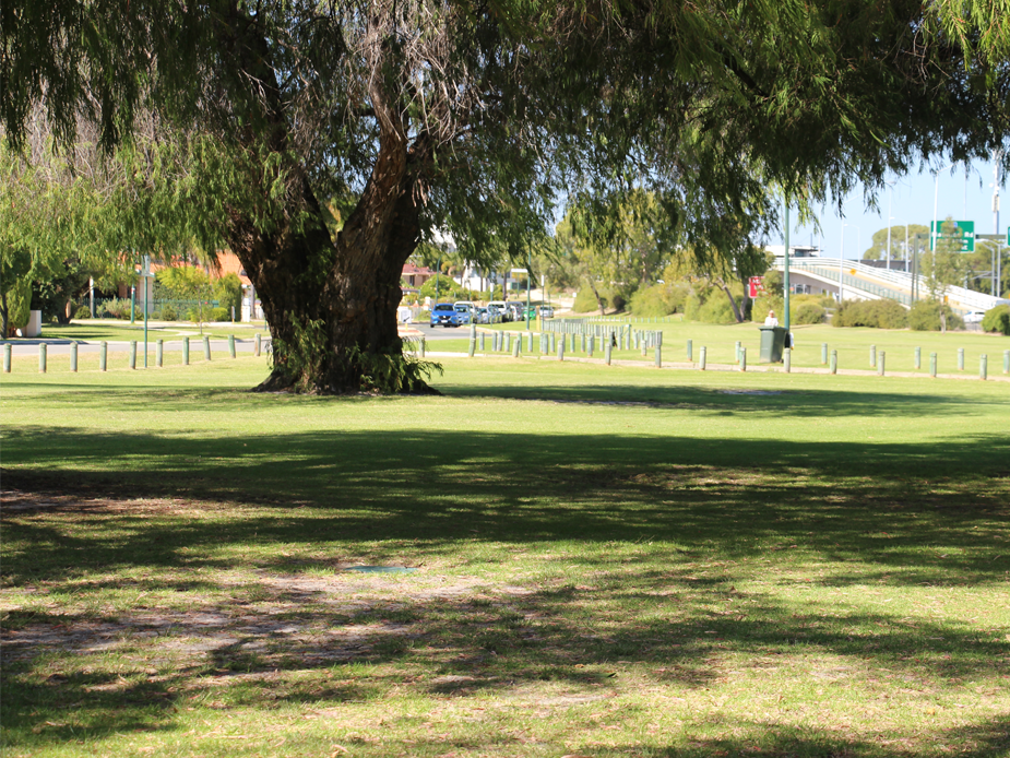 Olives Reserve City of South Perth