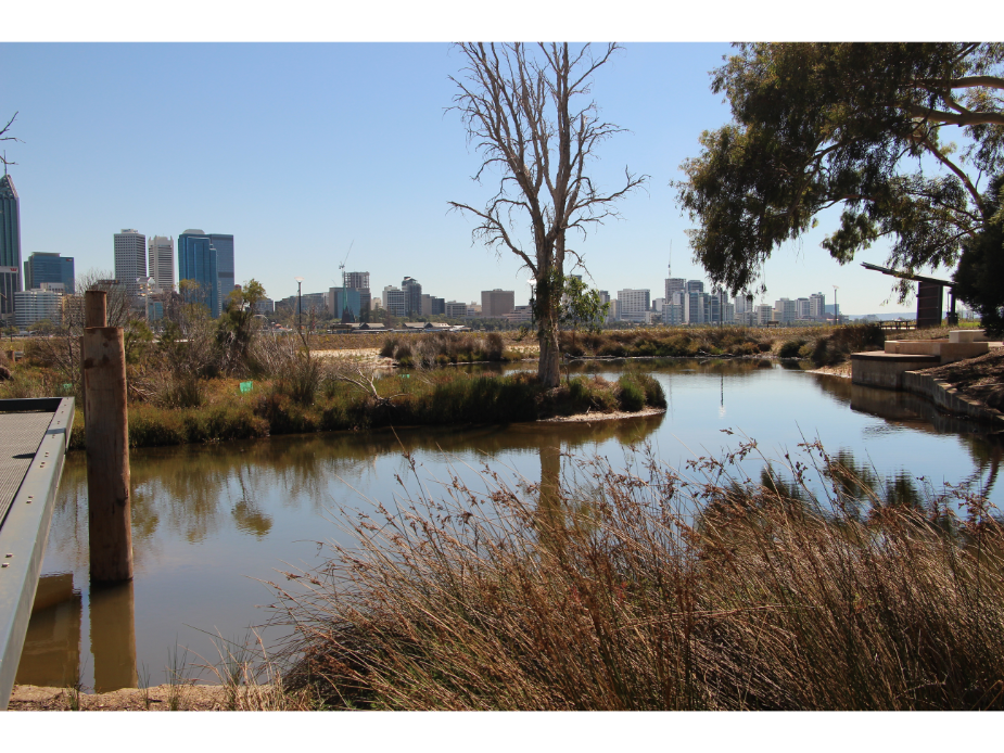 Mill Point Reserve City of South Perth