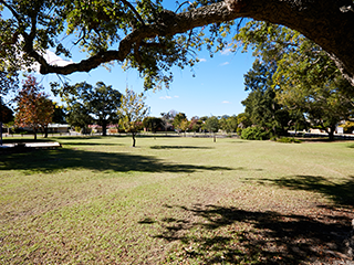 Marsh Avenue Reserve