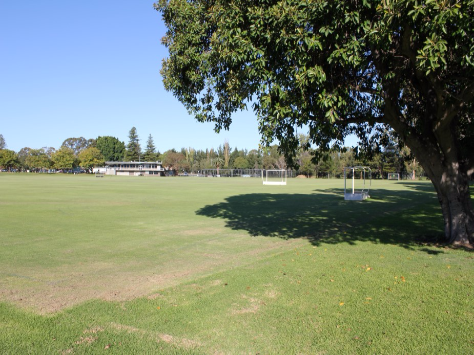 Both fields