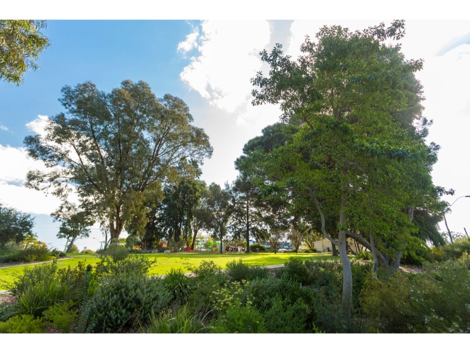  Moresby Street Reserve