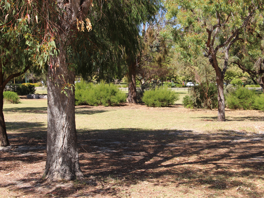 Coolidge Reserve