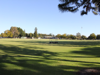 Upper fields