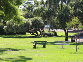 David Vincent Reserve