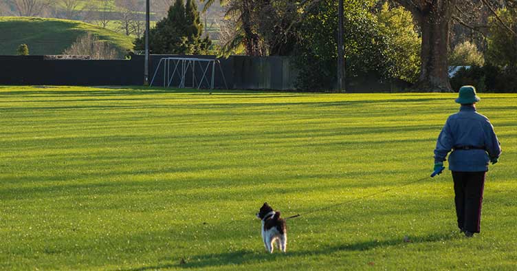 Glenshea Park