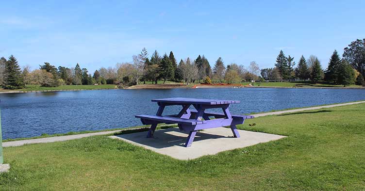 Lake Moananui