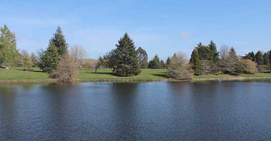 Lake Moananui Reserve