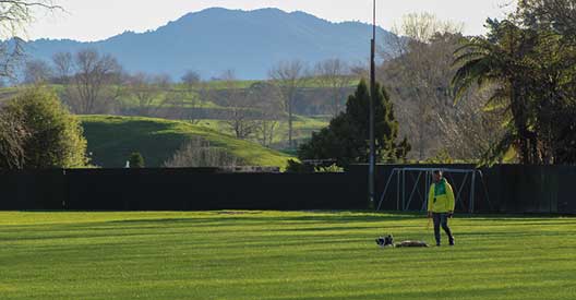 Glenshea Park