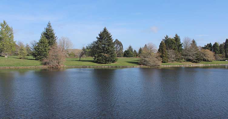 Lake Moananui Reserve