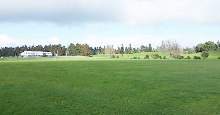 Totara Park